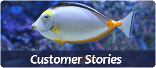 customer stories