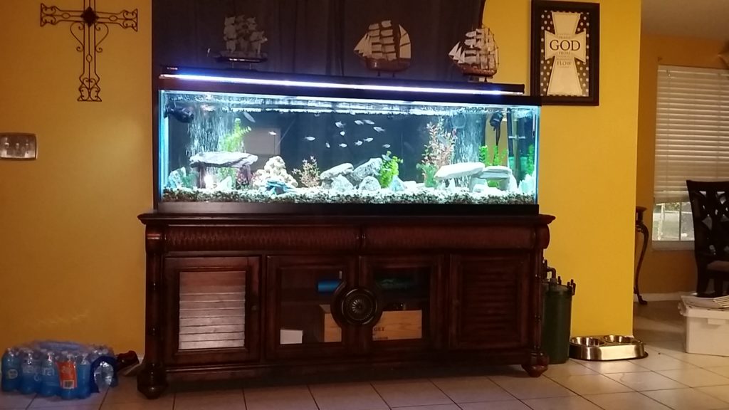 Garcias Aquarium